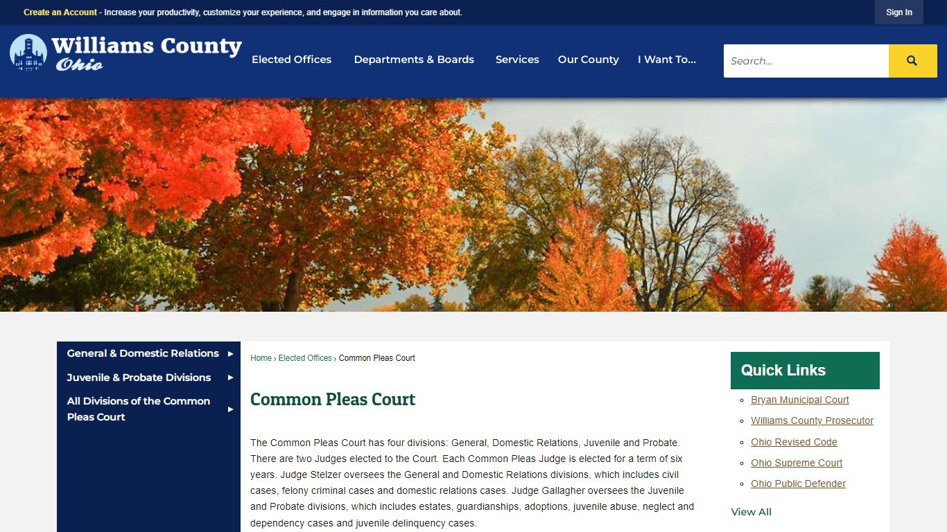 Common Pleas Court | Williams County, OH